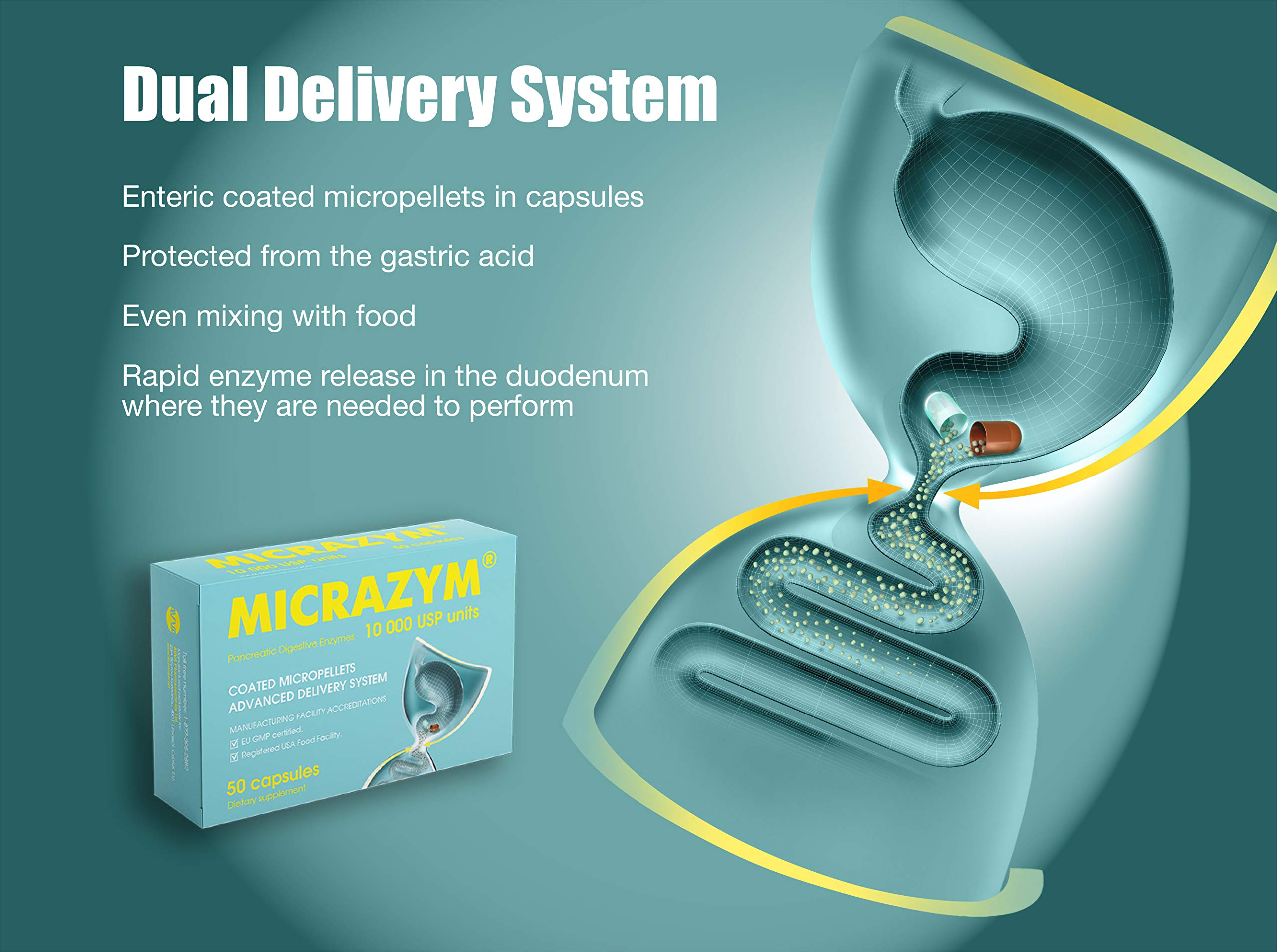 Micrazym Pancreatic Enzymes 10,000 USP for Healthy Digestion. High